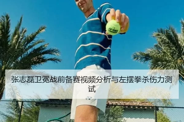 张志磊卫冕战前备赛视频分析与左摆拳杀伤力测试