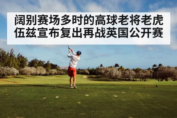 Tiger Woods golf swing